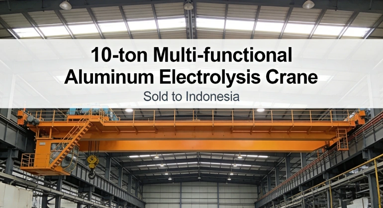 A 10-ton multi-functional aluminum electrolysis crane.webp