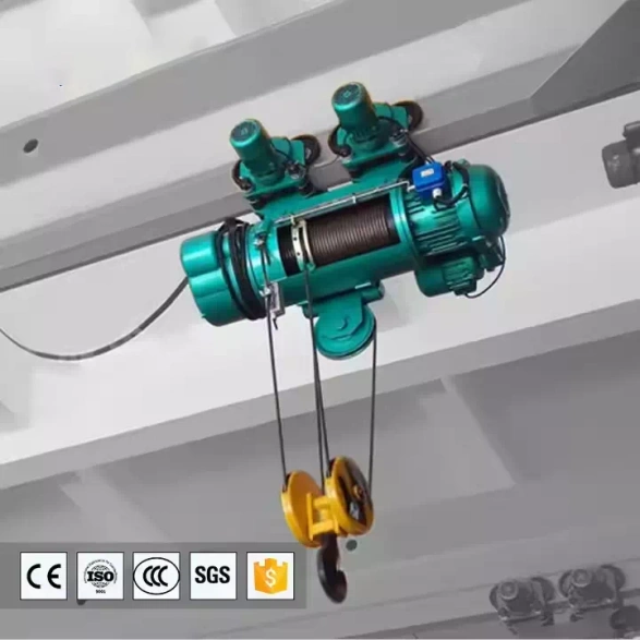 Wire rope hoist.webp