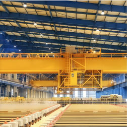 Multi Function Overhead Crane