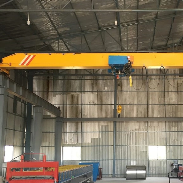 5Ton-LDC-type-single-girder-overhead-crane-in-India-2.webp