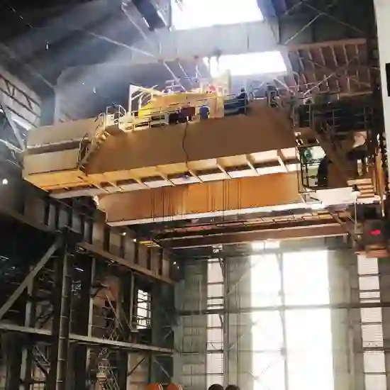 Rotary Feeding Overhead Crane.webp
