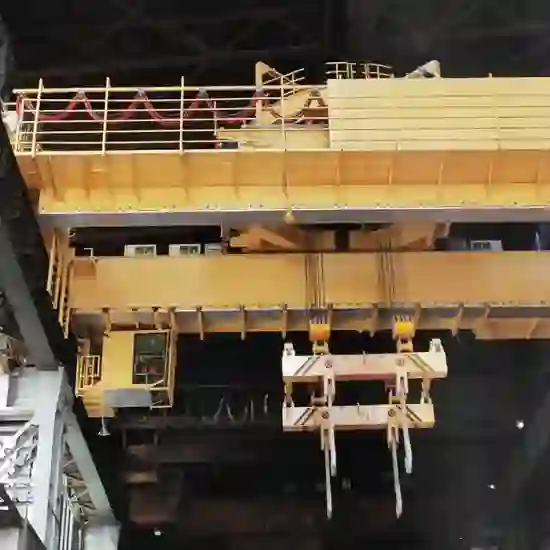 Rotary Feeding Overhead Crane1.webp